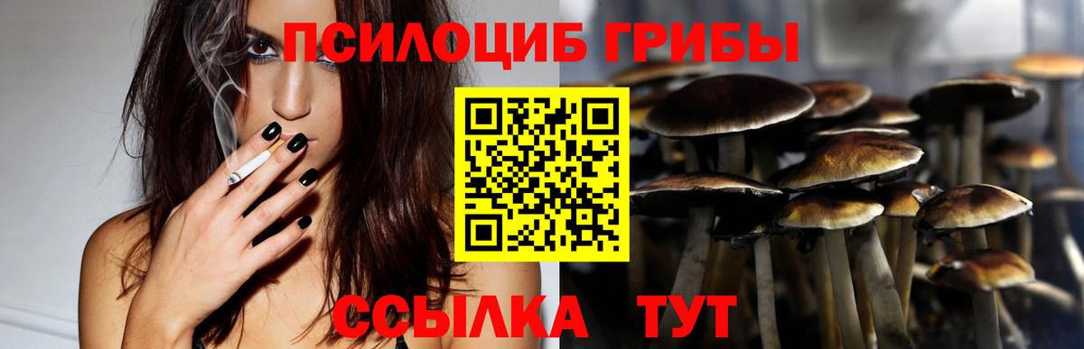 Галлюциногенные грибы Cubensis  купить наркотики цена  Касимов  Вход с VPN 
